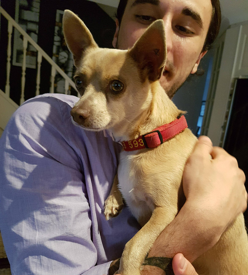 Chihuahua is friend